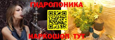 ешки Гатчина