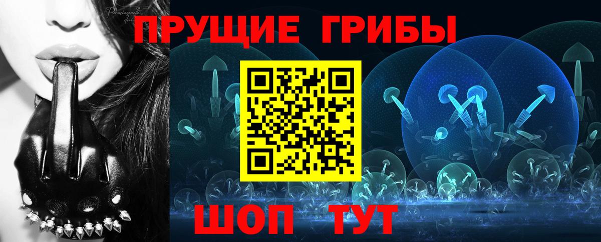 Галлюциногенные грибы Psilocybe  Вход с VPN  Новомосковск 